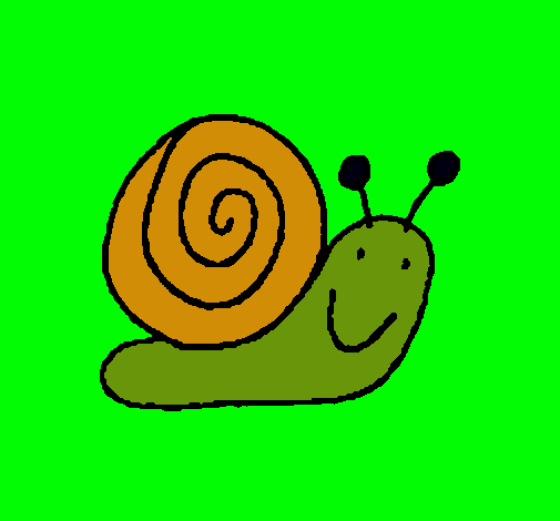 Caracol 4