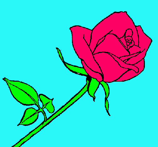 Dibujo Rosa pintado por alba12345