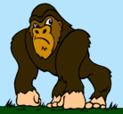 Dibujo Gorila pintado por Framzis