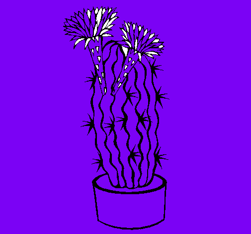 Dibujo Cactus con flores pintado por diego-tari