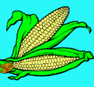 Dibujo Mazorca de maíz pintado por uuuuuuuuuuuu