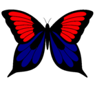 Dibujo Mariposa pintado por darzx