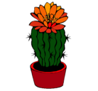 Dibujo Cactus con flor pintado por izamal