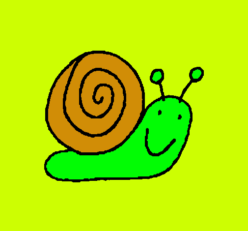 Caracol 4