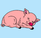 Dibujo Cerdo durmiendo pintado por luciale