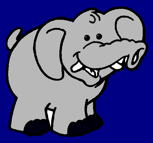 Elefante