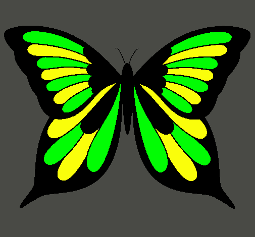 Dibujo Mariposa 8 pintado por julita