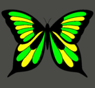 Dibujo Mariposa 8 pintado por julita