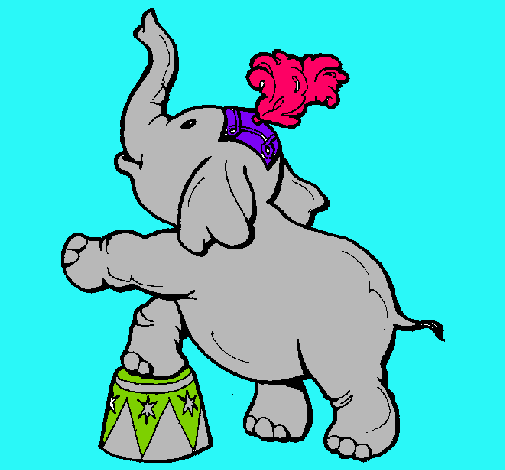 Elefante