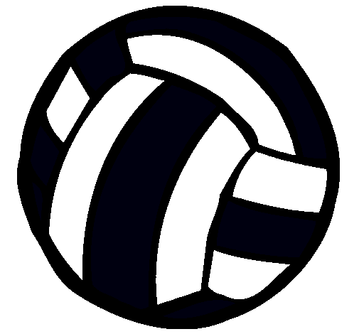 Pelota de voleibol