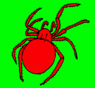 Dibujo Araña venenosa pintado por nnnnnnnnnnnn