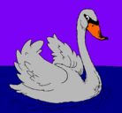 Dibujo Cisne en el agua pintado por fgpibufghpty