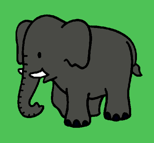 Elefante bebe