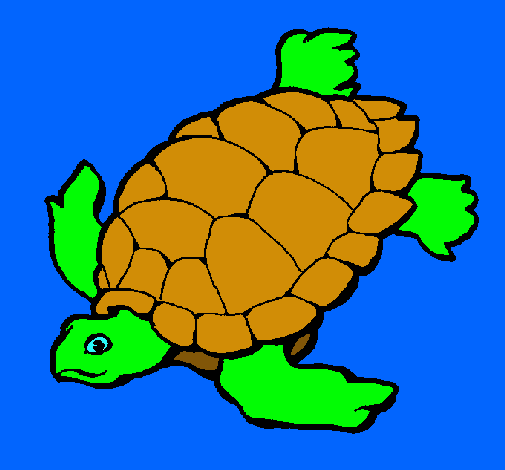 Tortuga