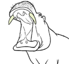 Dibujo Hipopótamo con la boca abierta pintado por gere