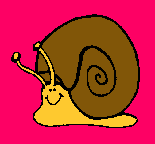 Caracol 