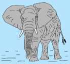 Dibujo Elefante pintado por juanmazabala