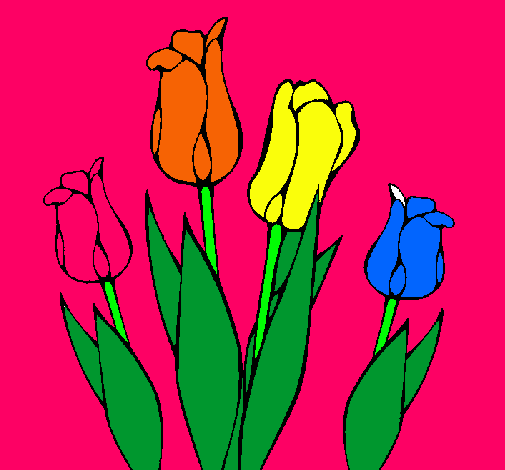 Tulipanes