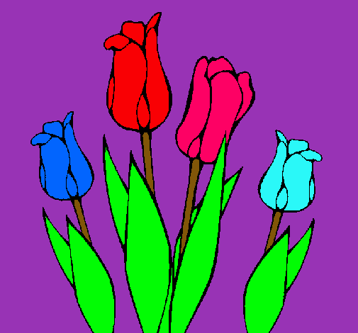 Tulipanes