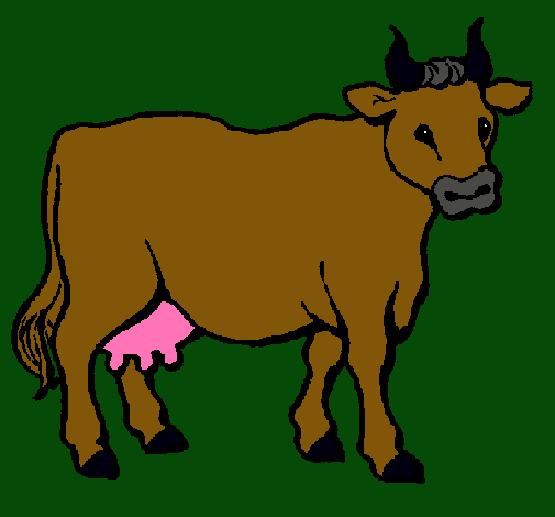 Vaca