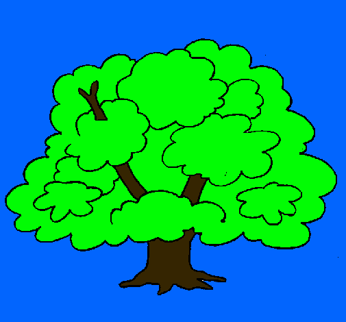 Árbol