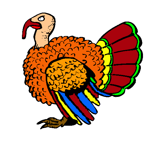 Pavo 