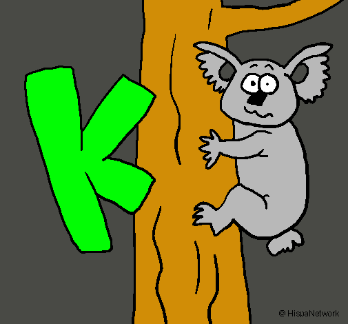 Koala