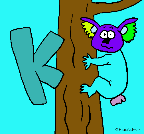 Koala