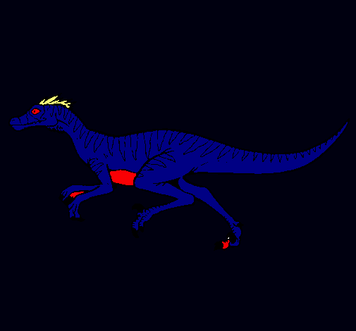 Velociraptor