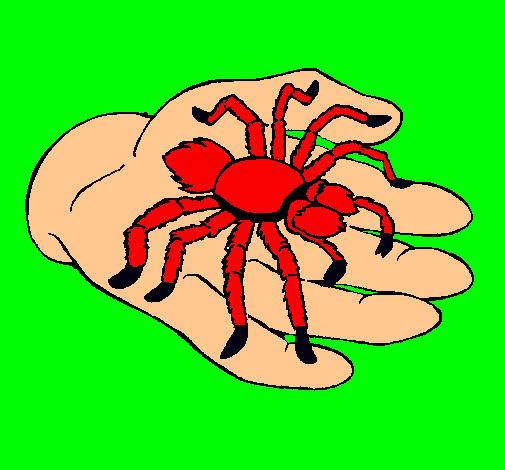 Tarántula