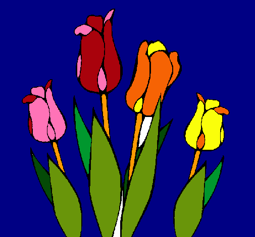 Tulipanes