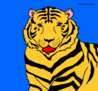 Dibujo Tigre pintado por emelec