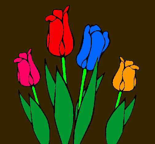 Tulipanes