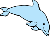 Dibujo Delfín contento pintado por delfinito