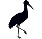 Dibujo Cigüeña pintado por avestru