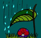 Dibujo Mariquita protegida de la lluvia pintado por estrellada