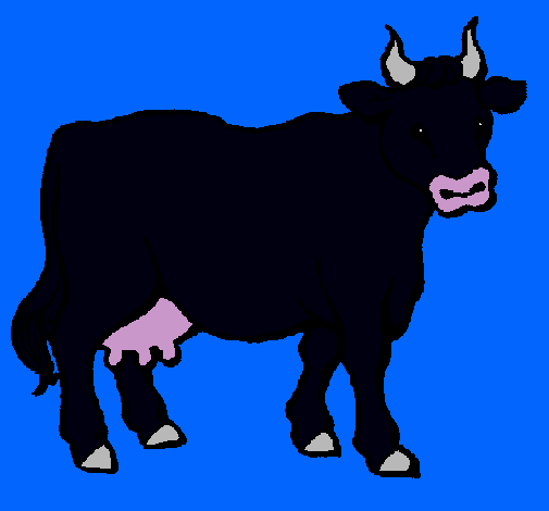 Vaca