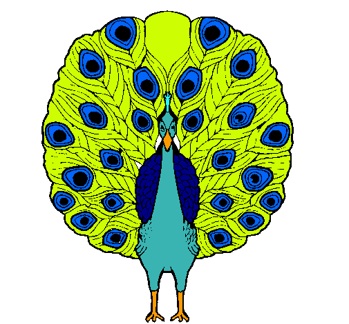 Pavo real