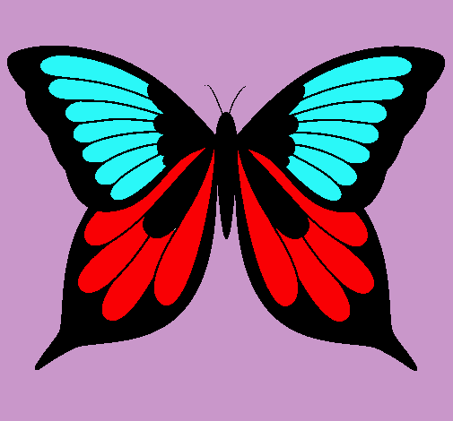 Dibujo Mariposa 8 pintado por Pulguita