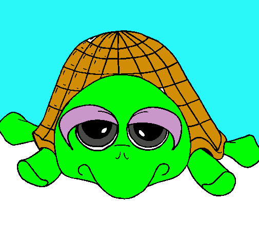 Tortuga