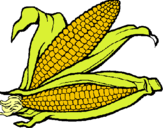 Dibujo Mazorca de maíz pintado por choqlitito