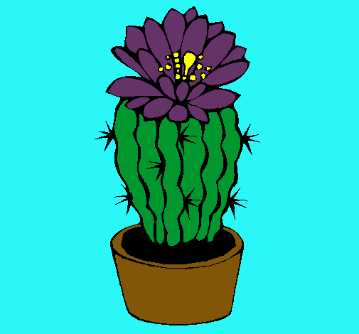 Cactus con flor