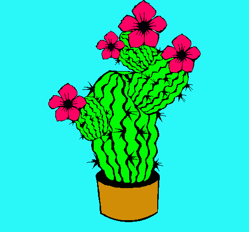 Flores de cactus