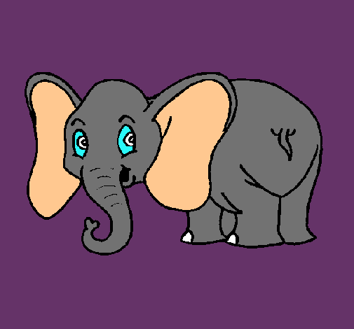 Elefante pequeño