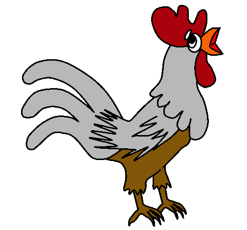 Gallo