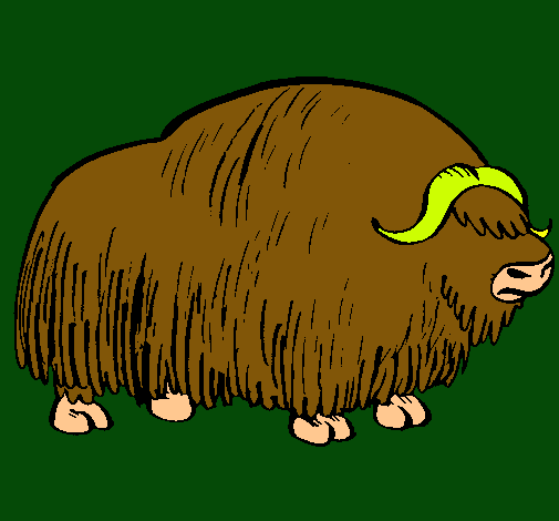 Bisonte