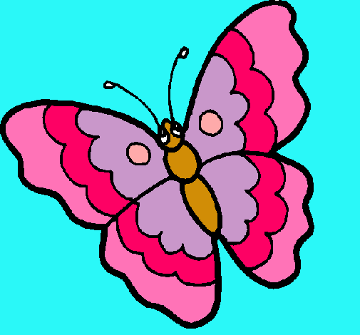 Mariposa