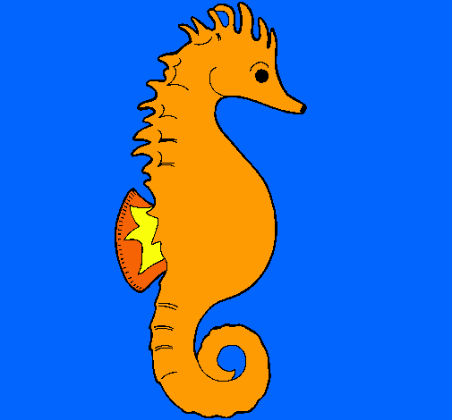 Caballito de mar