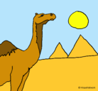 Dibujo Camello pintado por niknik
