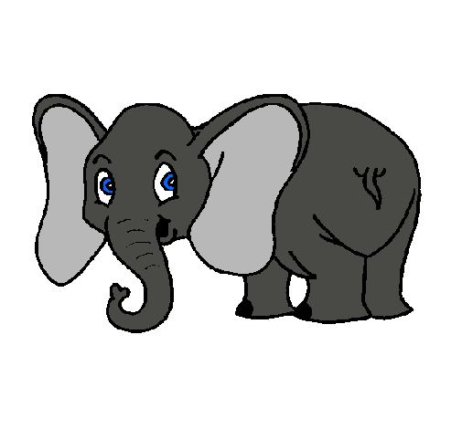 Elefante pequeño